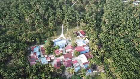 Small-village-in-oil-palm-tree.